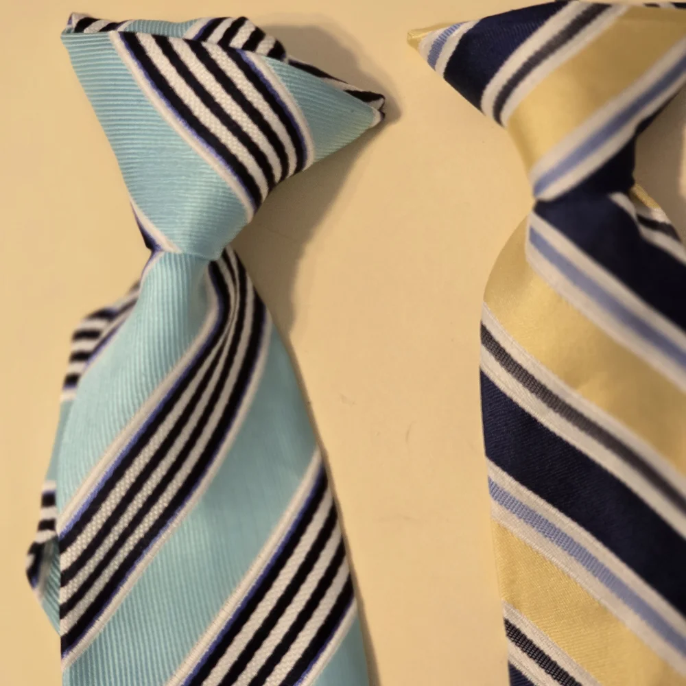 Kids Striped Blue and Yellow Ties Set